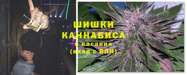 PSILOCYBIN Алзамай