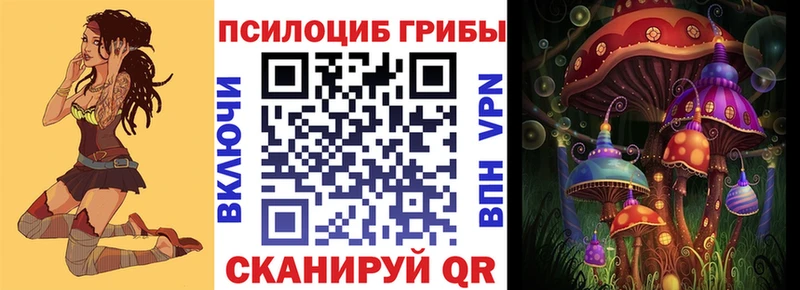 блэк спрут ТОР  Ковров  Галлюциногенные грибы Psilocybe  дарнет шоп 